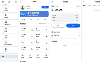 Facebook内嵌/免注册登录/广告商广告投放/后端java